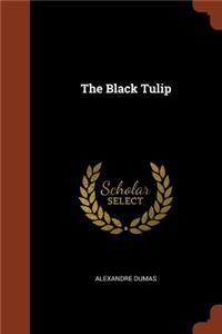 The Black Tulip