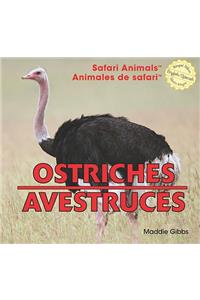 Ostriches / Avestruces