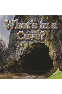 What's in a Cave?