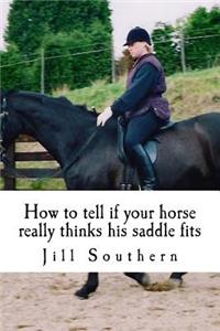 How to tell if your horse really thinks his saddle fits
