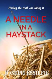 Needle in a Haystack