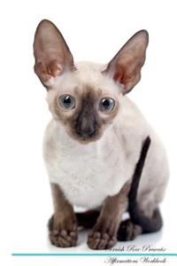 Cornish Rex Affirmations Workbook Cornish Rex Presents