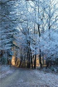 Forest Path and Winter Frost Journal