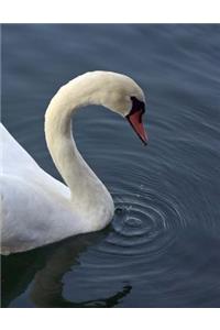 Swan Notebook