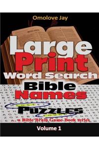 Large Print Word Search Bible Names Puzzles