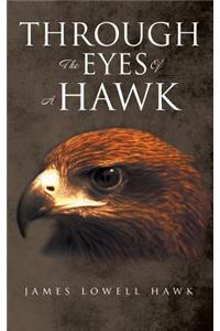 Through The Eyes Of A Hawk