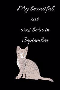 My beautiful cat was born in September Notebook, Composition Notebook Journal to make notes, Notebook for Kids, Students, Teatchers