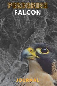 Peregrine falcon journal &Notebook 6