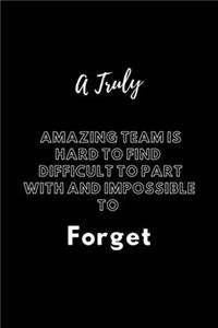 A Truly Amazing Team is Hard to Find - Difficult to Part With and Impossible to Forget