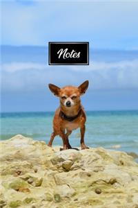Chihuahua Dog Pup Puppy Doggie Notebook Bullet Journal Diary Composition Book Notepad - Standing on Beach