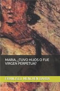 Maria, ¿tuvo Hijos O Fue Virgen Perpetua?