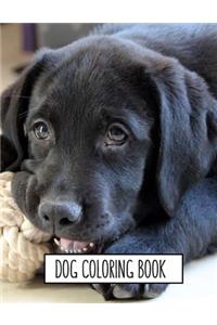 Dog Coloring Book