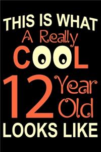 A Really Cool 12 Year Old