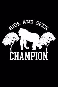 Hide and seek Champion