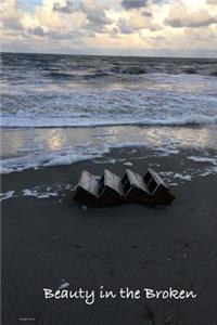 Beauty in the Broken