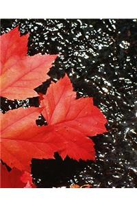 School Composition Book Red Maple Leaves Autumn Season 130 Pages