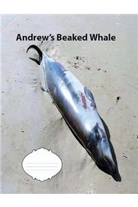 Andrew's Beaked Whale Wide Ruled Line Paper Composition Book