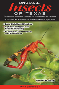 Unusual Insects of Texas Caddisflies, Mantides, Lacewings, Walkingsticks, & More