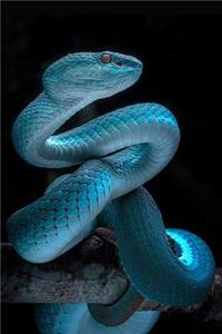 Snake Notebook