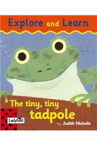 Tiny Tiny Tadpole Board Book