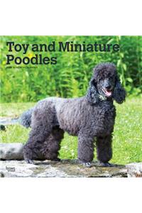 Poodles, Toy and Miniature 2020 Square