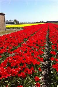 Magnificent Red Tulip Farm in Holland Journal: Take Notes, Write Down Memories in this 150 Page Lined Journal