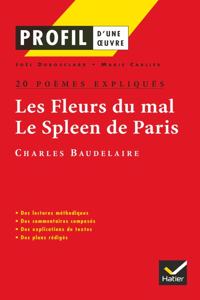 Profil d'une oeuvre