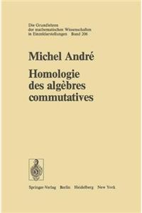 Homologie Des Algebres Commutatives