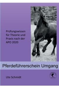Pferdeführerschein Umgang