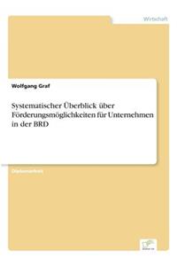 Systematischer Überblick über Förderungsmöglichkeiten für Unternehmen in der BRD