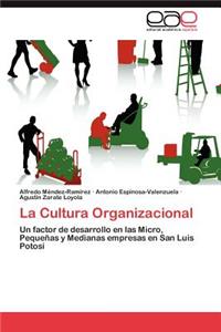 Cultura Organizacional