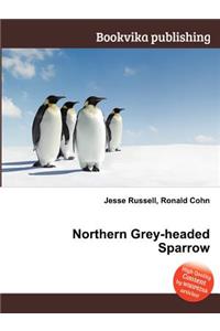 Northern Grey-Headed Sparrow
