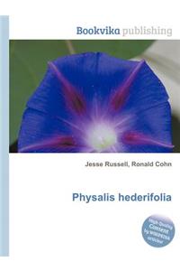 Physalis Hederifolia