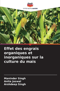 Effet des engrais organiques et inorganiques sur la culture du maïs