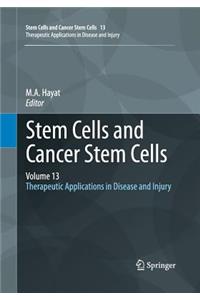 Stem Cells and Cancer Stem Cells, Volume 13