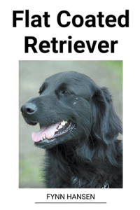 Flat Coated Retriever