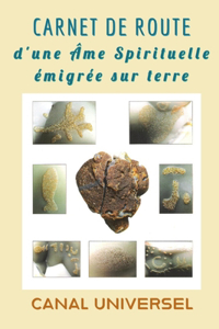 Carnet de route d'une âme spirituelle émigrée sur terre