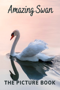 Amazing Swan