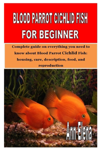 Blood Parrot Cichlid Fish for Beginner