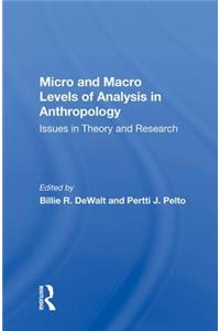 Micro And Macro Levels Of Analysis In Anthropology