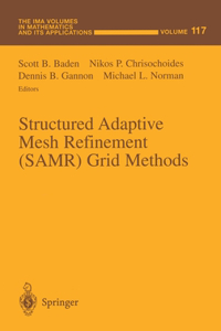 Structured Adaptive Mesh Refinement (Samr) Grid Methods