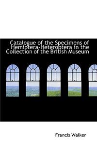 Catalogue of the Specimens of Hemiptera-Heteroptera in the Collection of the British Museum