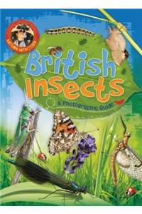 Nature Detective: British Insects