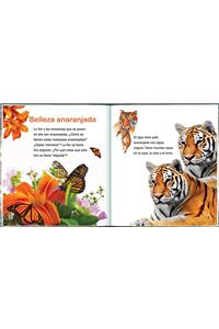 Spa-Observar La Naturaleza