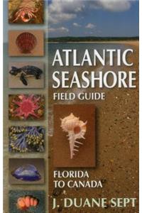 Atlantic Seashore Field Guide