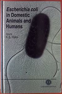 Escherichia Coli in Domestic Animals and Humans