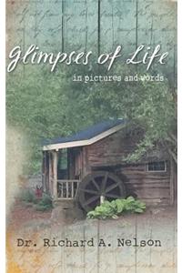 Glimpses of Life in Pictures and Words