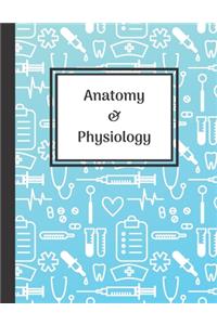 Anatomy & Physiology