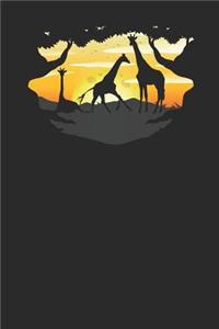Giraffe Safari