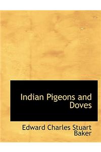 Indian Pigeons and Doves